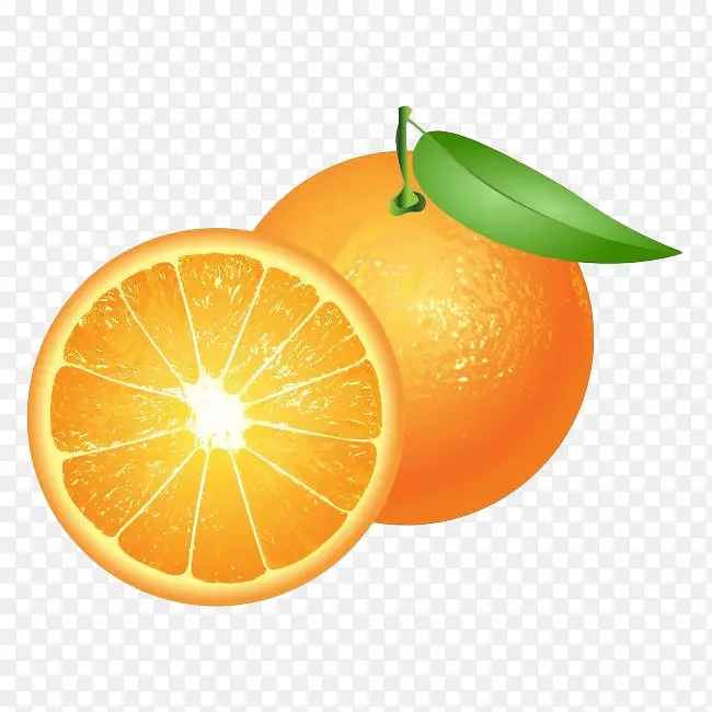 卡通两个香橙