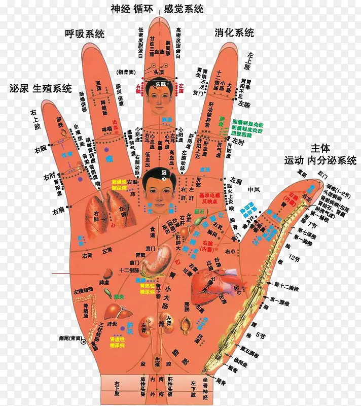 手部穴位图