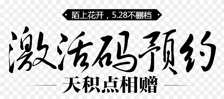 激活码预约字体设计