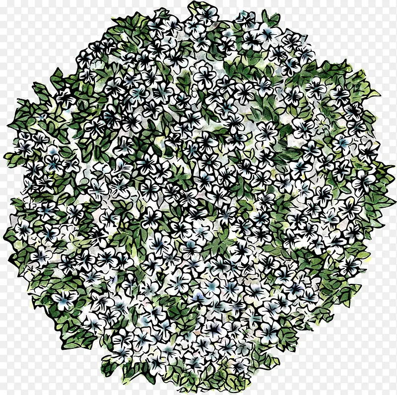 绿叶花朵俯视图