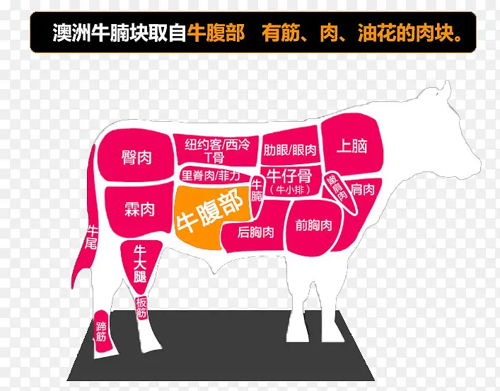 牛肉分部图