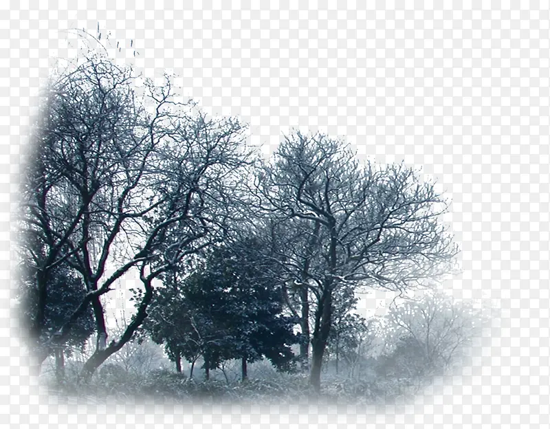 冬日雪景树木水墨