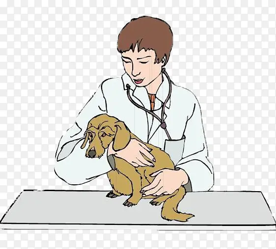 人和宠物 医生 治疗  狗狗