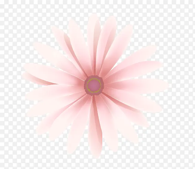 粉色太阳花