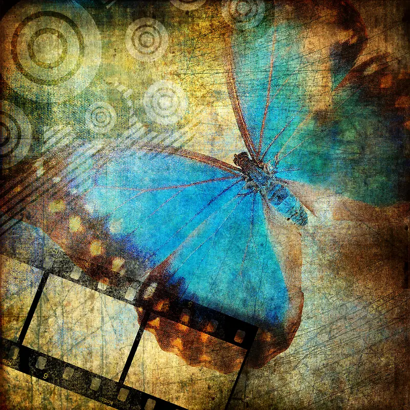 蝴蝶与胶卷背景