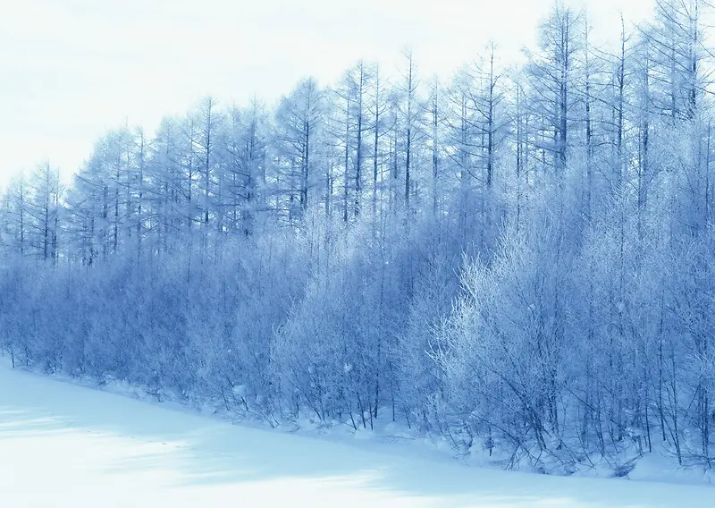 创意合成东北的雪景环境渲染