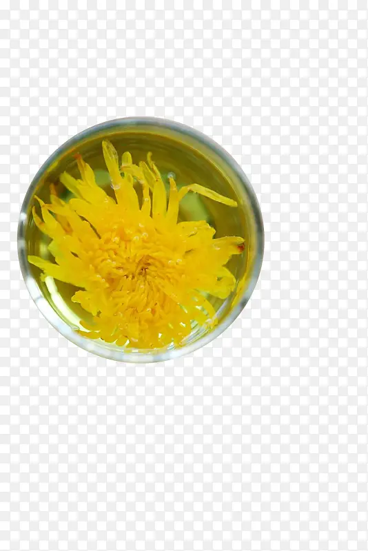 俯拍玻璃杯里的黄色的金丝菊