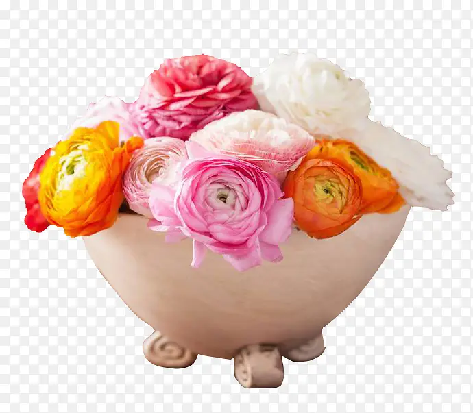 欧式花盆装的彩色洋牡丹