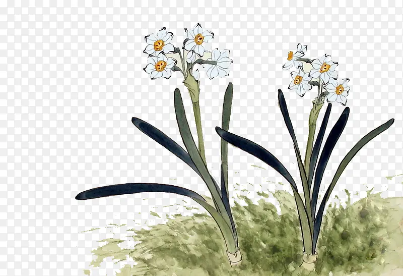 水墨水仙花