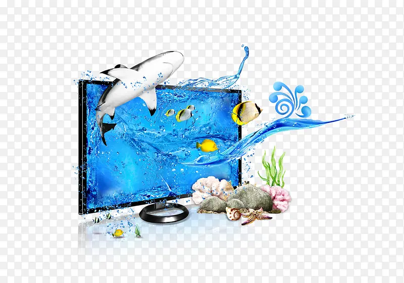 电视机 海洋 海洋动物 植物 