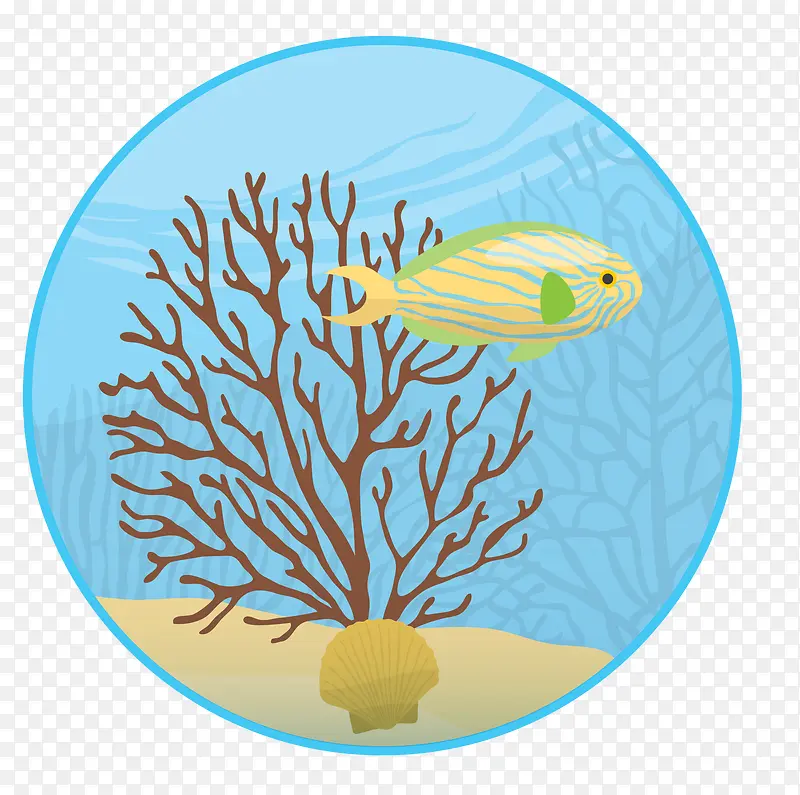 矢量藻类海鱼