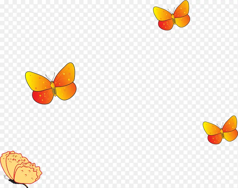 橙色美丽蝴蝶