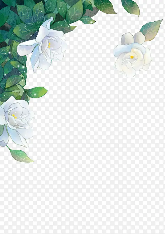白色植物花朵星点