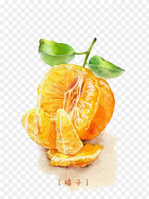 手绘拨开的橘子