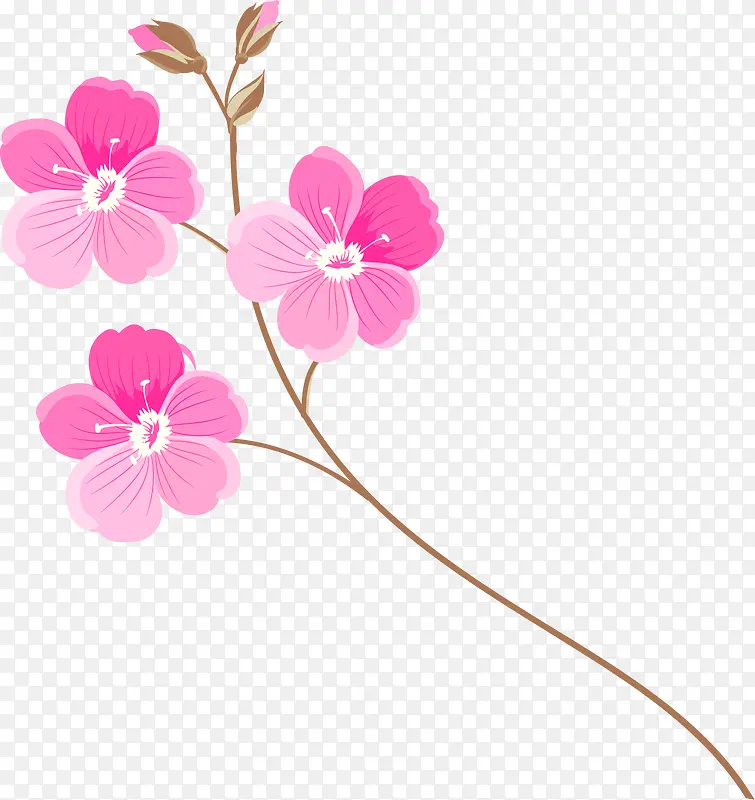 手绘粉色花朵叶子