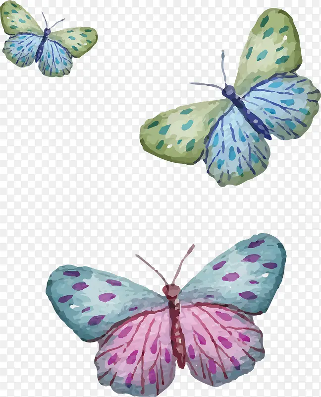 矢量手绘三只蝴蝶
