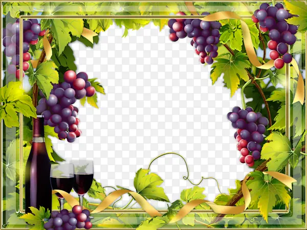 葡萄和葡萄酒装饰