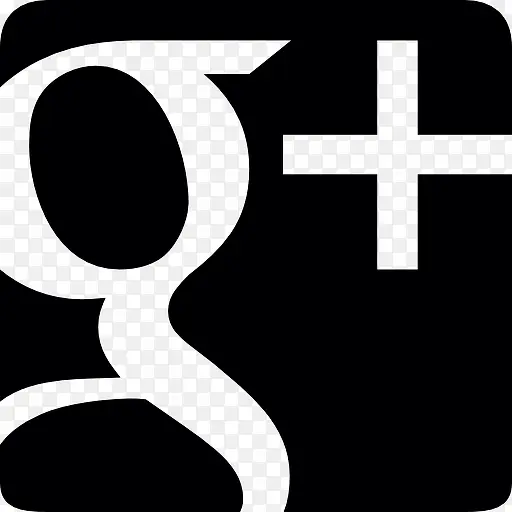 谷歌加符号图标
