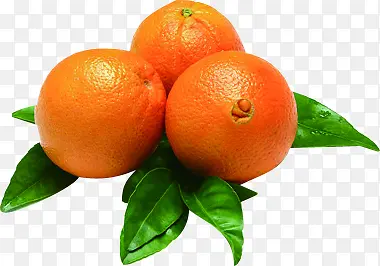 新鲜橙子蔬菜水果海报