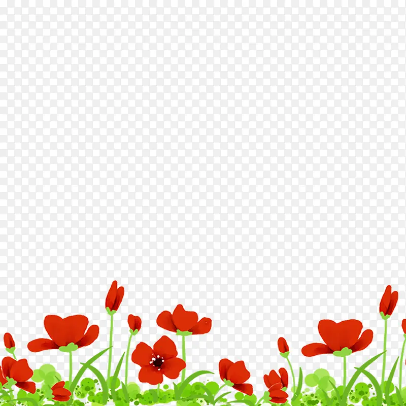 草地上的小红花