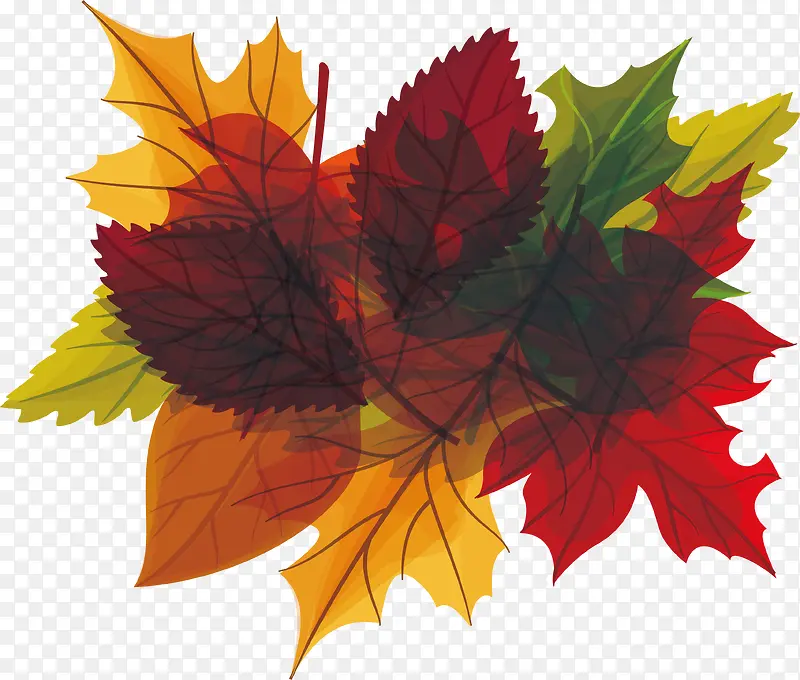秋天树叶标题框