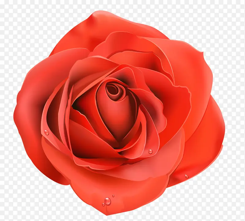 花卉