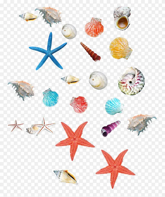 海底海星与贝壳螺2