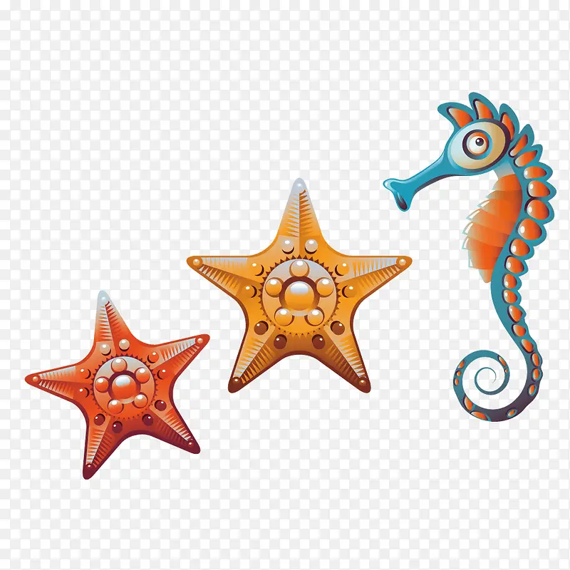 精美海星与海螺