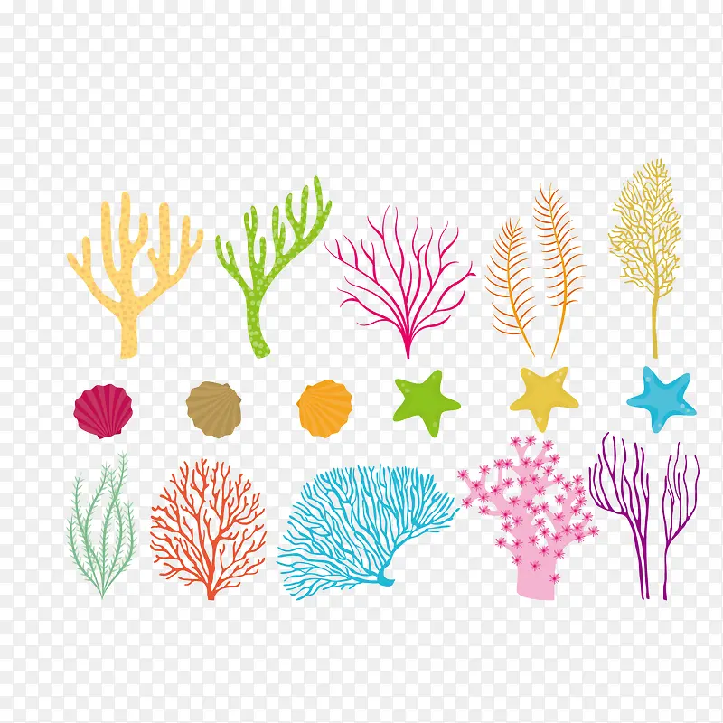 矢量彩色植物和贝壳