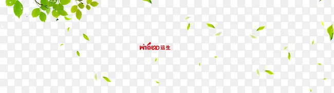 绿色落叶雨