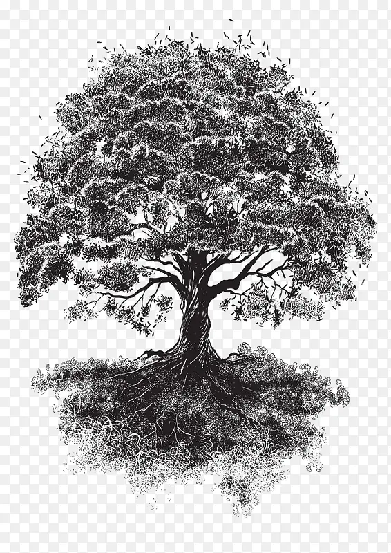 素描大树