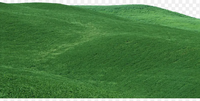 绿色山丘背景