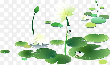 卡通工笔荷叶荷花