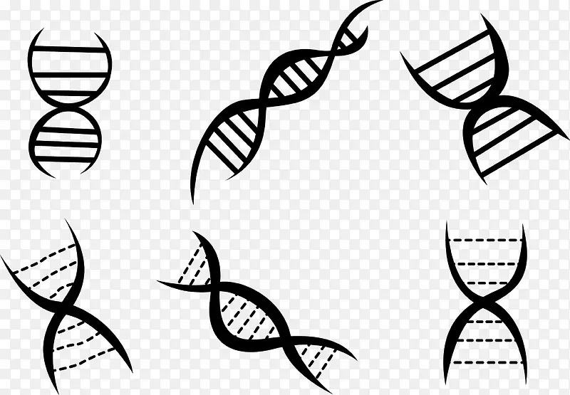 DNA螺旋状素材