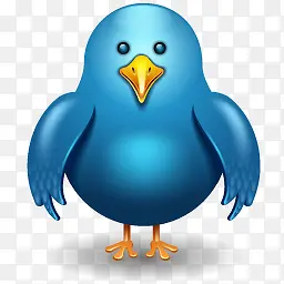 twitter蓝色小鸟装饰