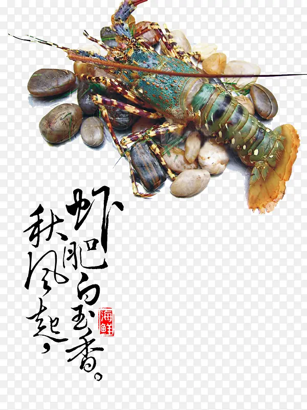 秋季肥虾