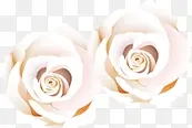 白色浪漫玫瑰花舞台