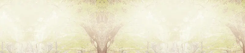 淘宝秋季帆布鞋背景banner