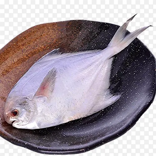 新鲜平鱼