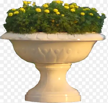花圃花坛园艺