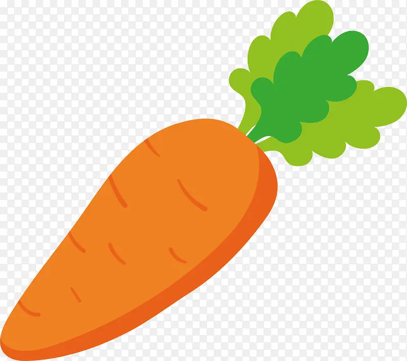 新鲜蔬菜胡萝卜插画设计