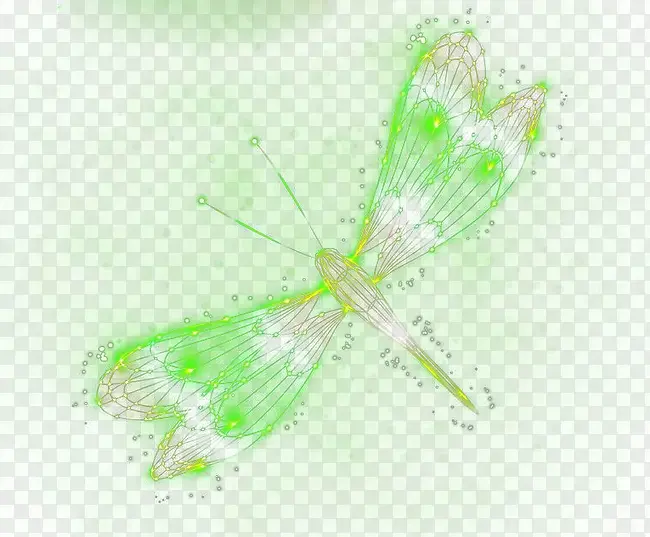 发光蝴蝶