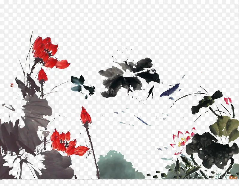 荷花争艳图片素材