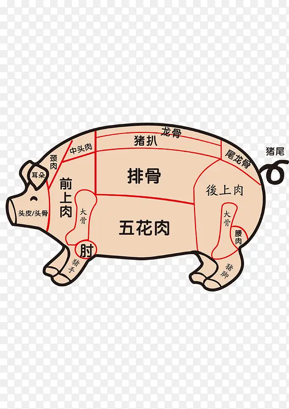 猪的分布图