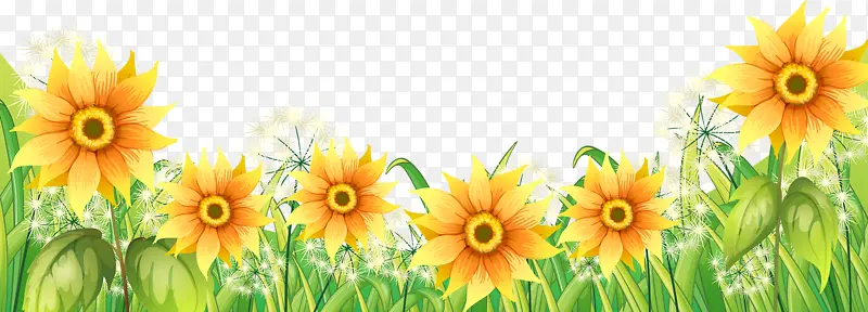 卡通植物向日葵背景