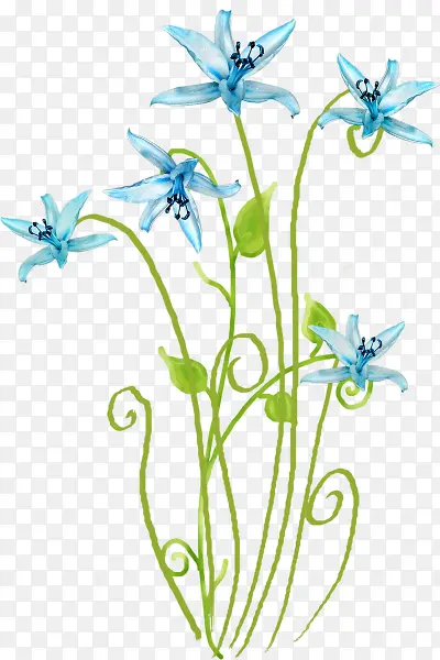 花开时节蓝色花朵