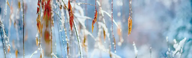 冬天雪景banner创意设计