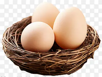 三颗鸡蛋和草窝