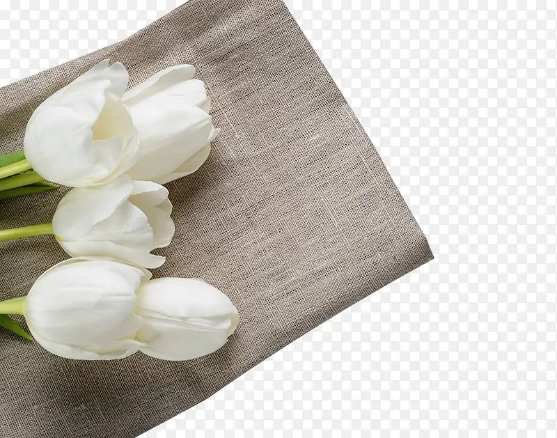 麻布上的白色花卉