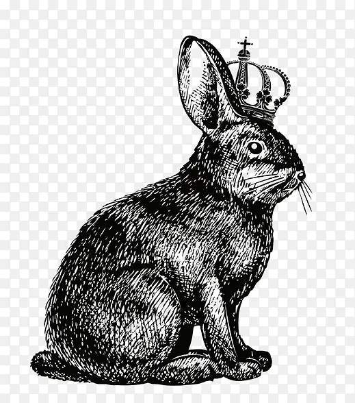 王冠兔子